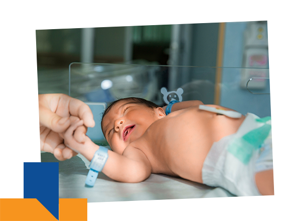 <br />
<b>Warning</b>:  Undefined variable $pagetitle in <b>/var/www/vhosts/newtown.neotiahospital.com/httpdocs/blog_details.php</b> on line <b>298</b><br />
