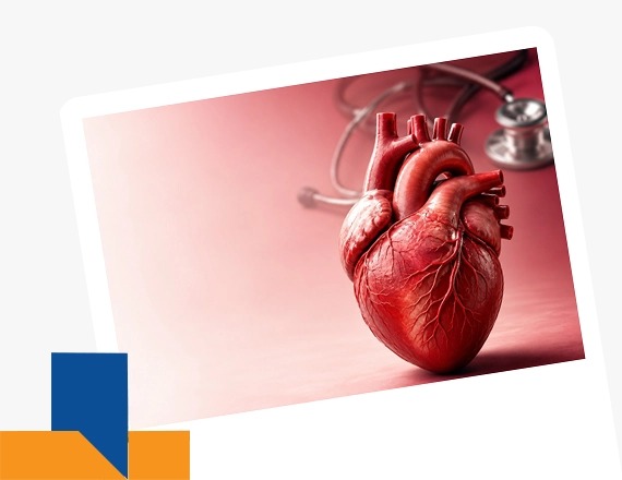 <br />
<b>Warning</b>:  Undefined variable $pagetitle in <b>/var/www/vhosts/newtown.neotiahospital.com/httpdocs/blog_details.php</b> on line <b>307</b><br />
