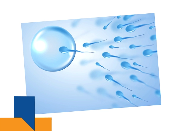 <br />
<b>Warning</b>:  Undefined variable $pagetitle in <b>/var/www/vhosts/newtown.neotiahospital.com/httpdocs/blog_details.php</b> on line <b>307</b><br />
